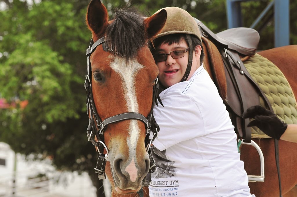 Equinoterapia
