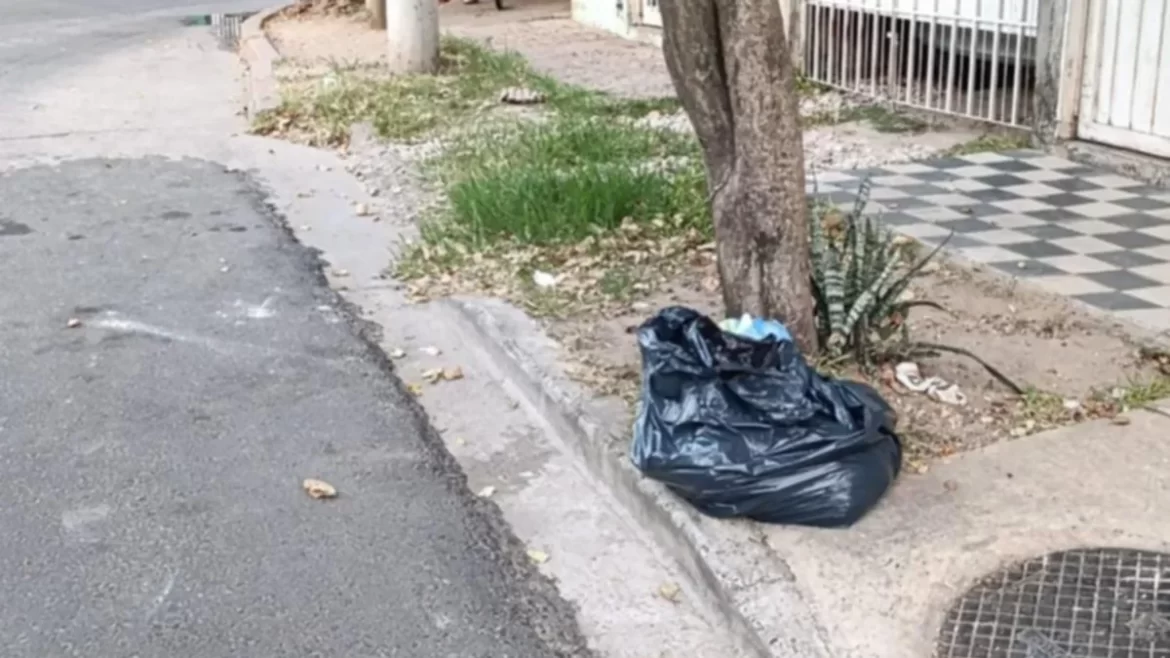 feto en bolsa correintes
