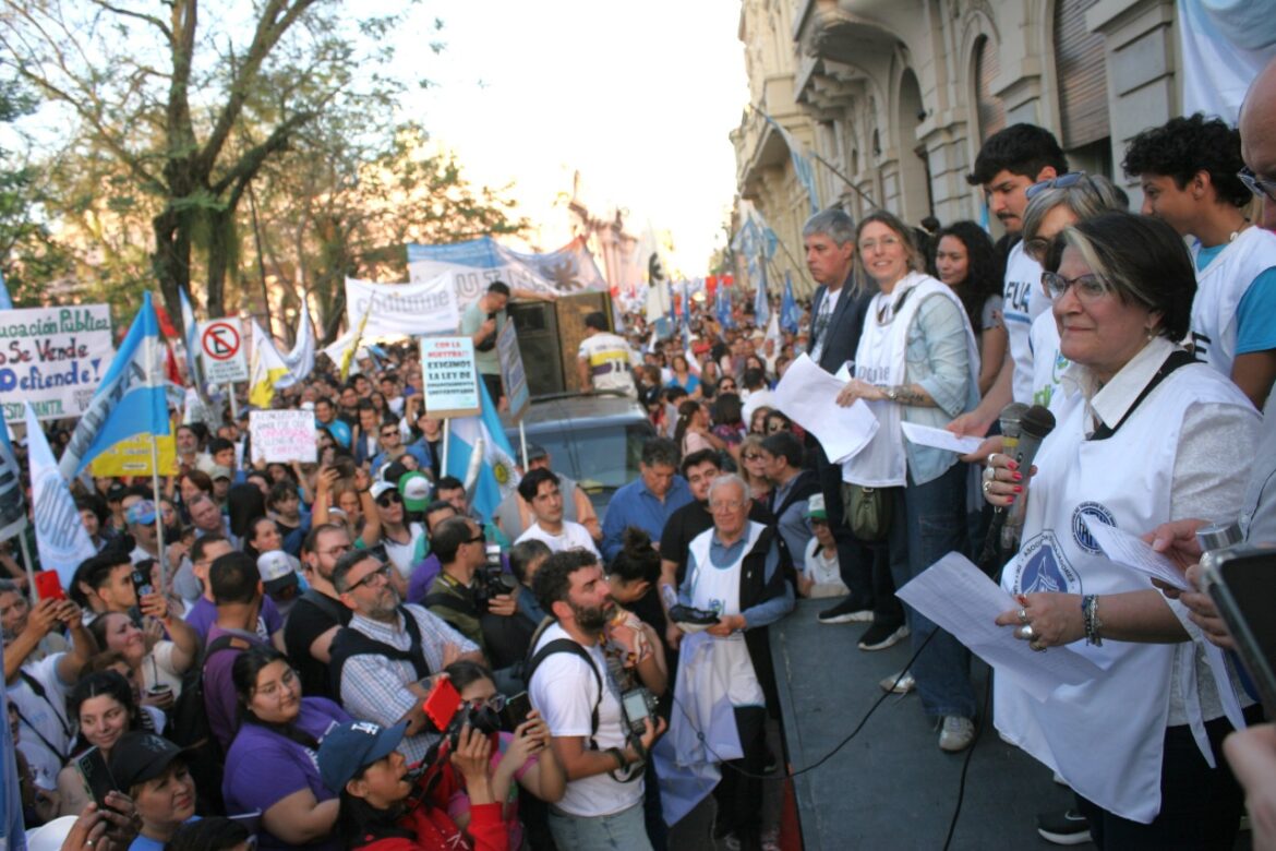 docentes universitarios