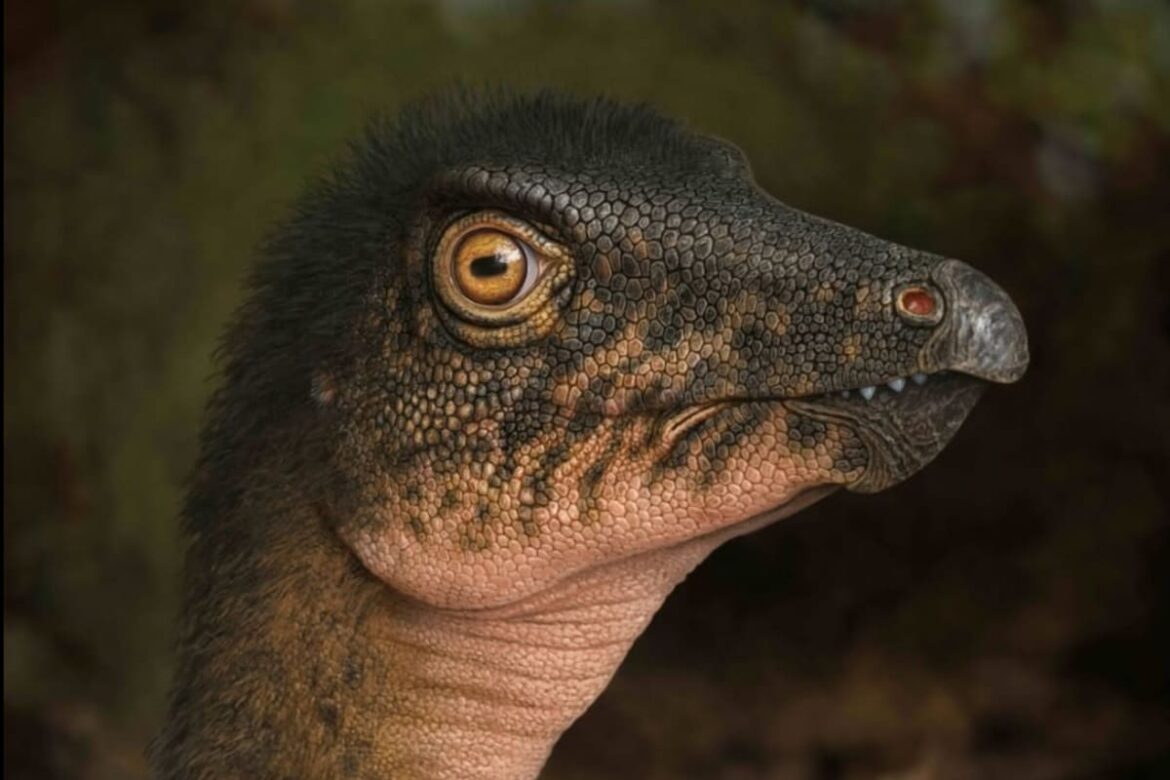 ¿Cómo es el dinosaurio encontrado en el estacionamiento del Museo de Ciencias de Denver?