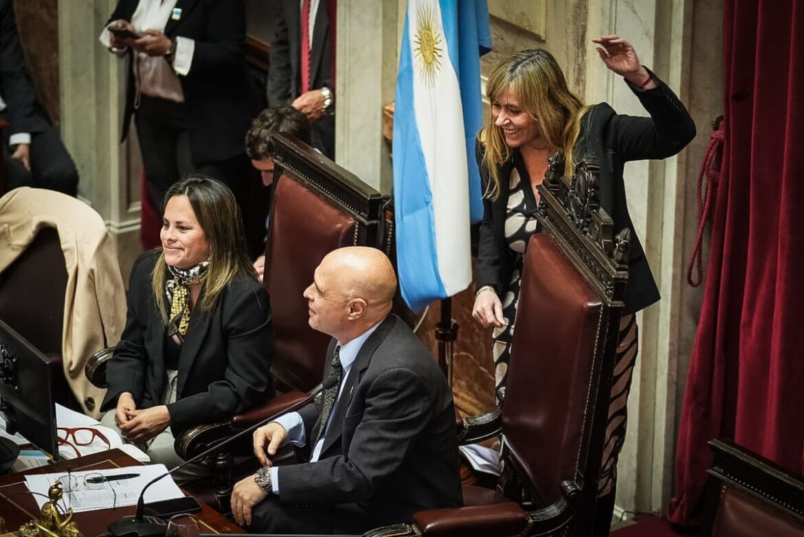 El Senado aprobó y convirtió en ley la emergencia del Garrahan y el financiamiento universitario