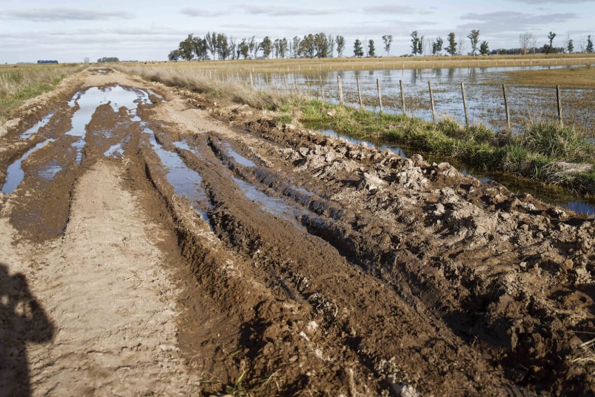 El polo agroindustrial y ganadero con altibajos en el que el ganador se puede quedar con todo