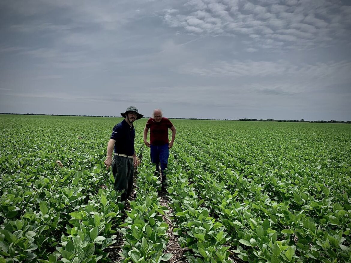 Las cuatro claves que definen el éxito en las empresas agropecuarias