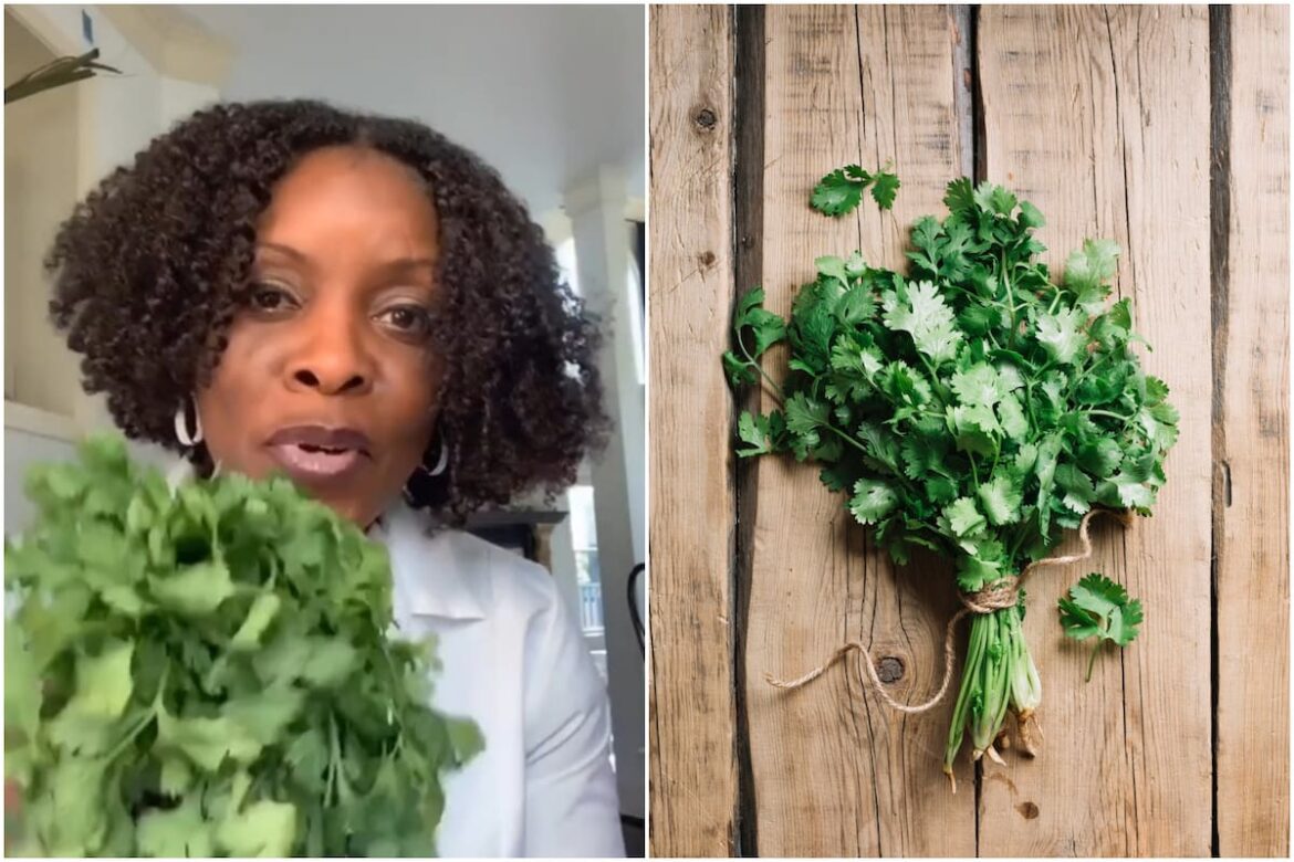 Las propiedades medicinales del cilantro: cómo la hierba típica de la gastronomía latina puede desintoxicar el cuerpo