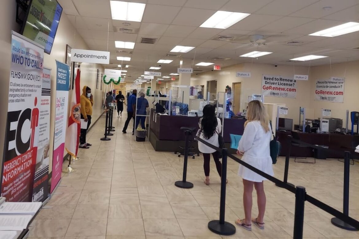 Licencias de conducir en Florida: el trámite que deberán hacer quienes hayan sacado una nueva
