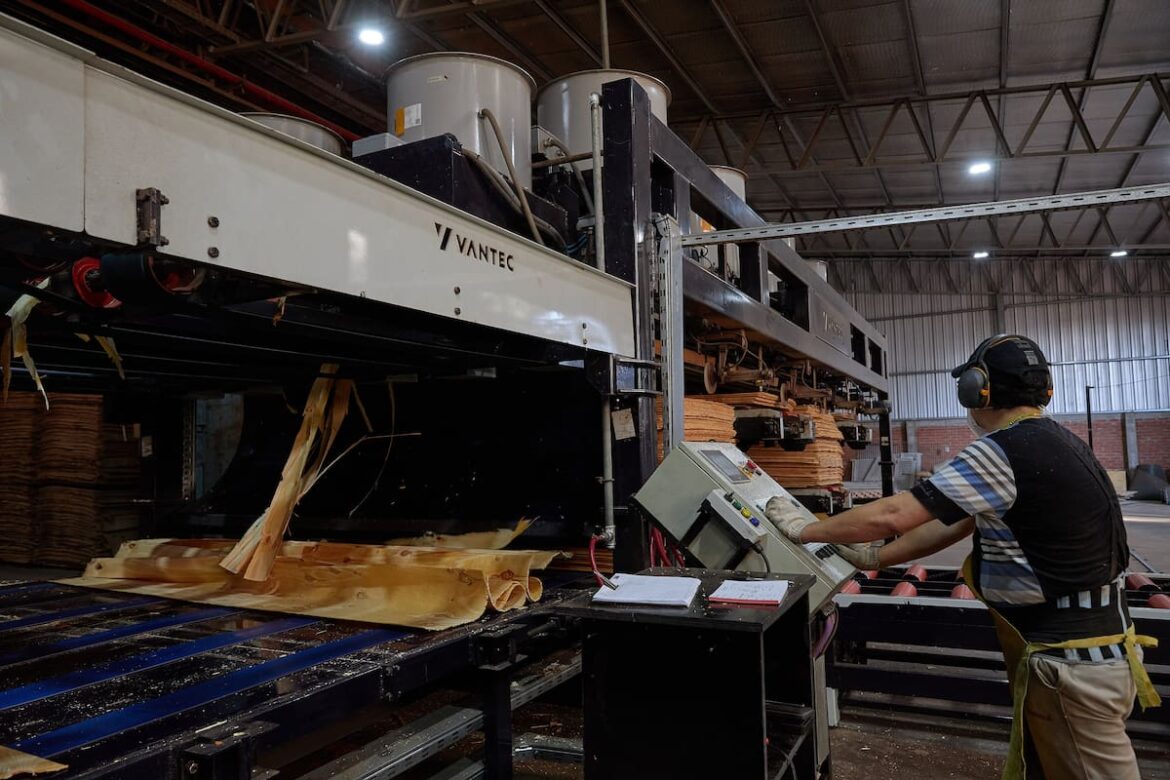 Cuáles son las empresas que no pueden pagar sus deudas