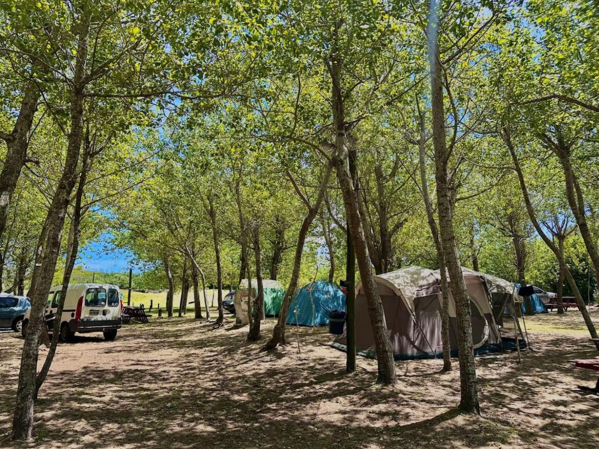 “Es como un barrio privado”: cómo son las escapadas en medio de la naturaleza sin resignar comodidad